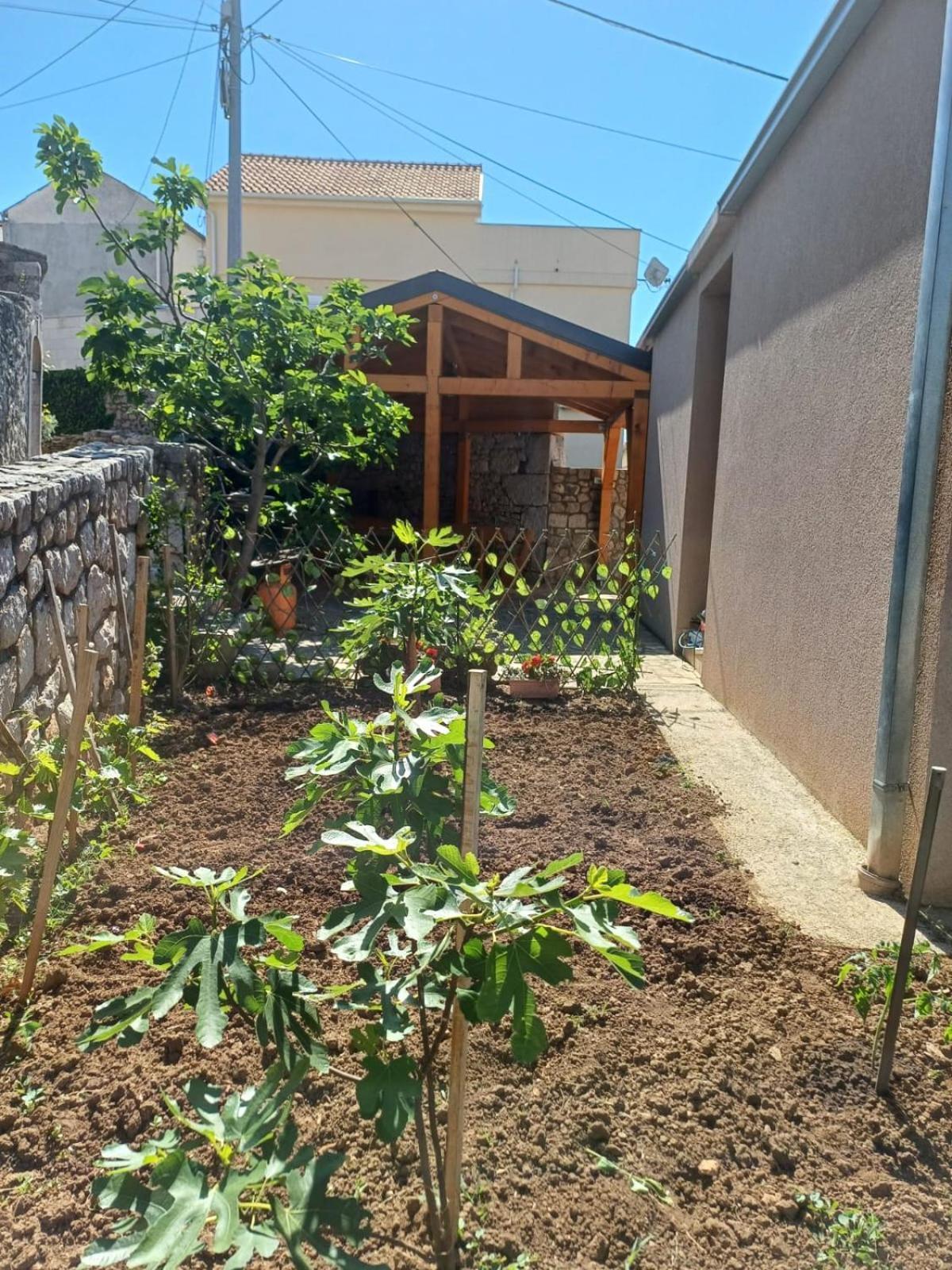 Apartmani Afrodita Crikvenica Exteriör bild