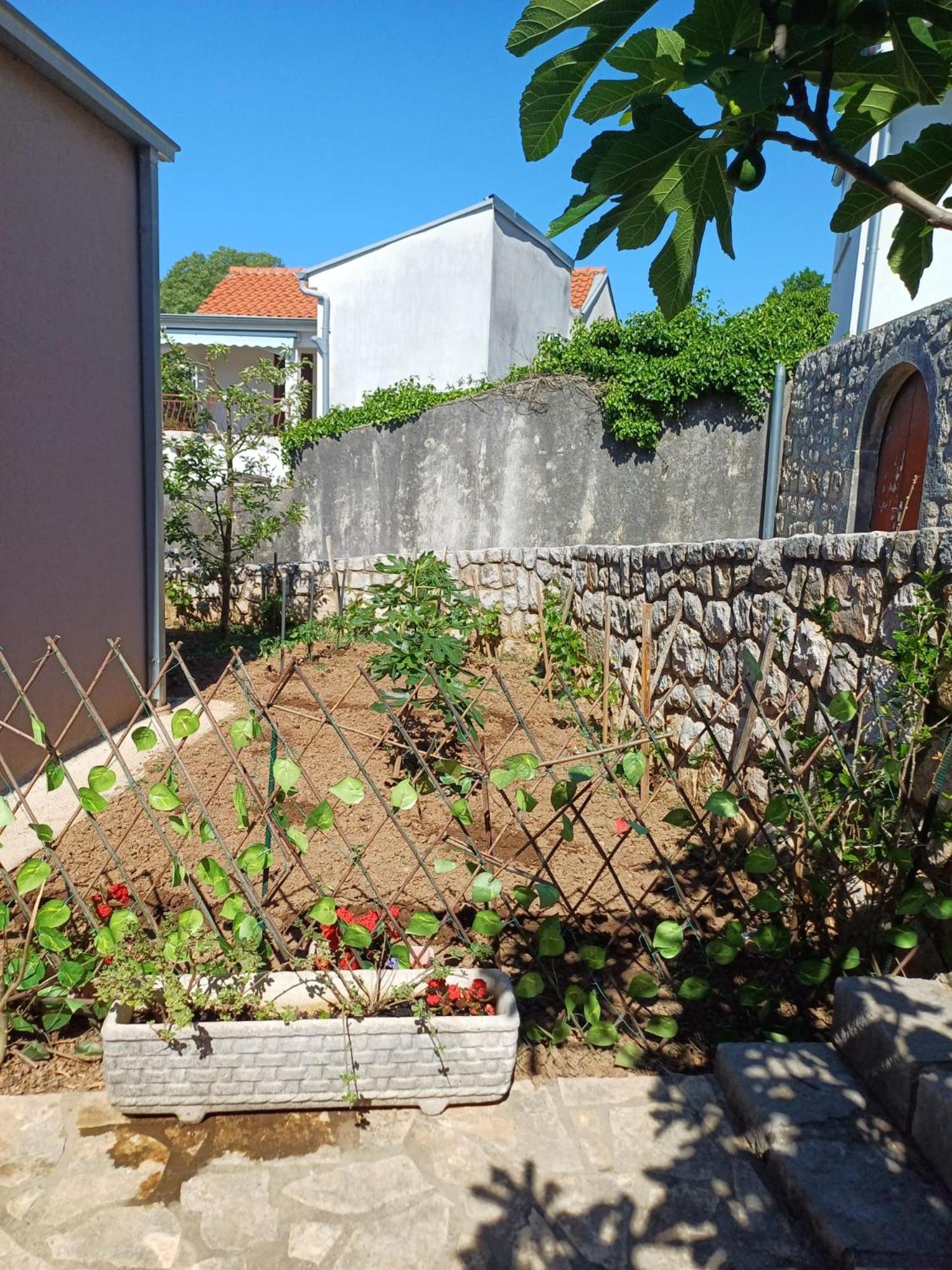 Apartmani Afrodita Crikvenica Exteriör bild